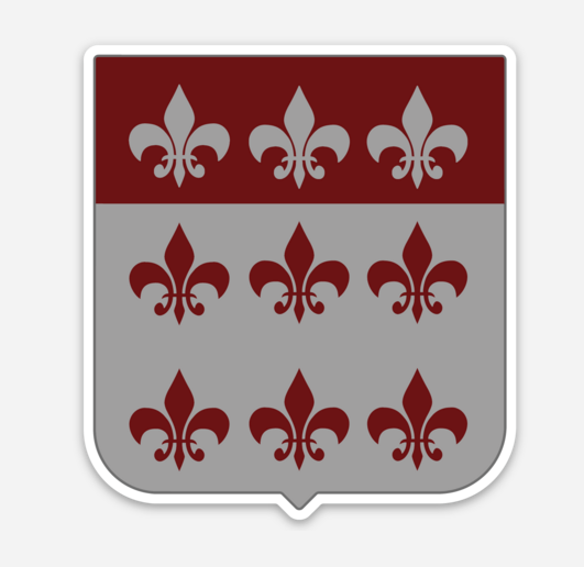 307th Medical BN Vinyl Decal