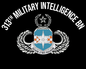 313th Military Intelligence Battalion (CEWI)