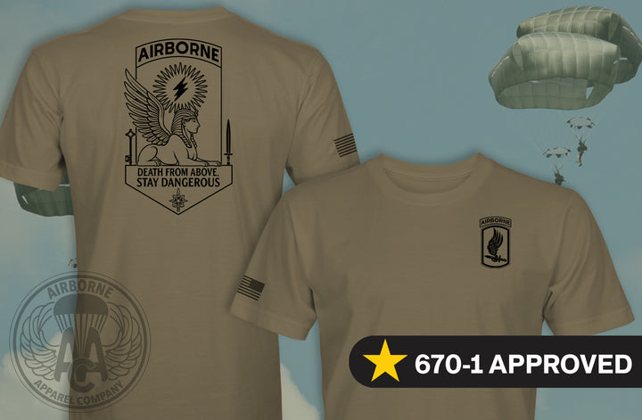 173rd MICO PT Shirt