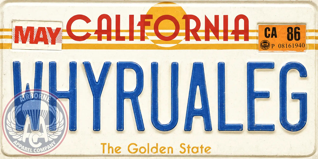 WHYRUALEG 12" x 6" License Plate