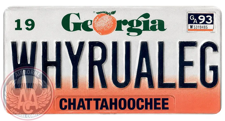 WHYRUALEG 12" x 6" License Plate